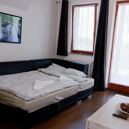 Holt-szamos Vendeghaz Apartment